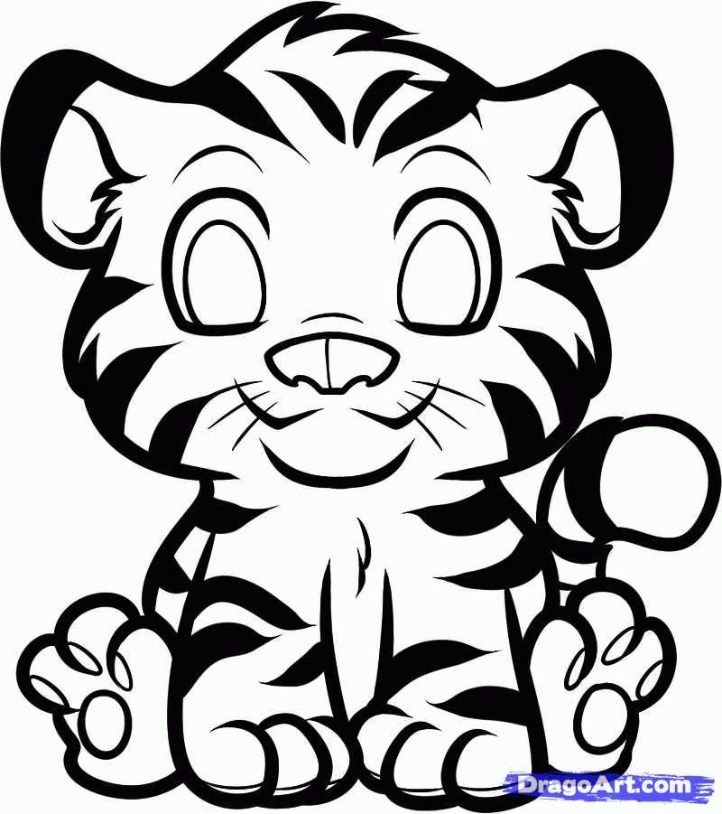 800x901 Animal Children Coloring Pages Colouring Sheets To Print Zoo
