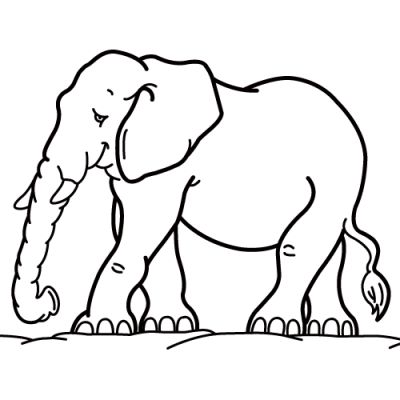 400x400 Zoo Animals Coloring Pages. Clipart Panda