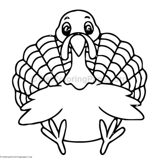 520x520 Zoo Animal Coloring Pages