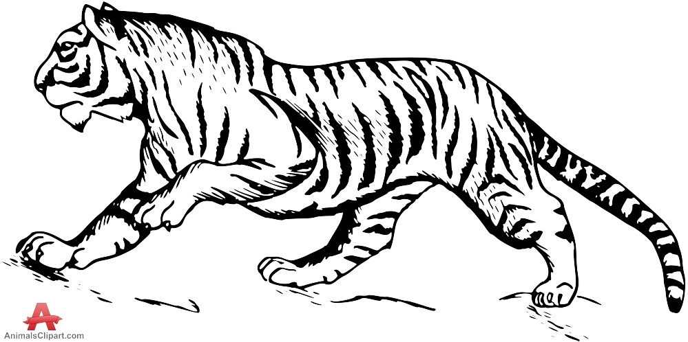 999x498 Top 95 Tiger Clip Art
