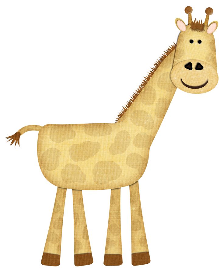 736x890 114 Best Clipart