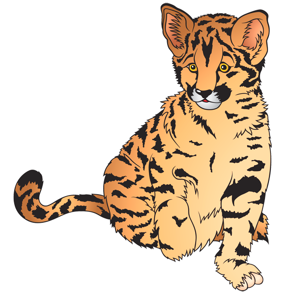600x600 Tiger Clipart Zoo Animal