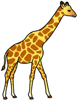 272x350 Zoo Animals Clipart By Mary Turcotte Teachers Pay Teachers