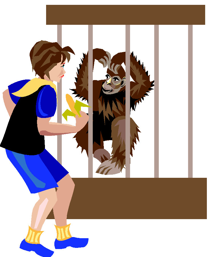 738x902 Zoo Animals Clipart