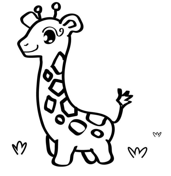 700x723 Zoo Entrance Coloring Page Image Clipart Images