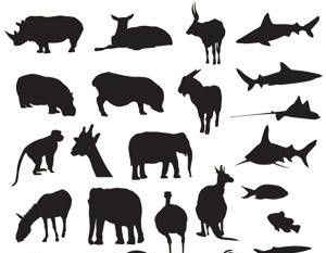 300x233 Zoo Animals Banners Free Vectors Ui Download