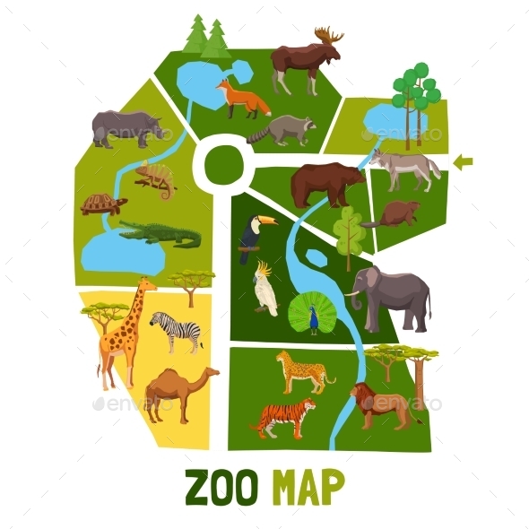 590x590 Cartoon Zoo Map With Animals By Macrovector Graphicriver