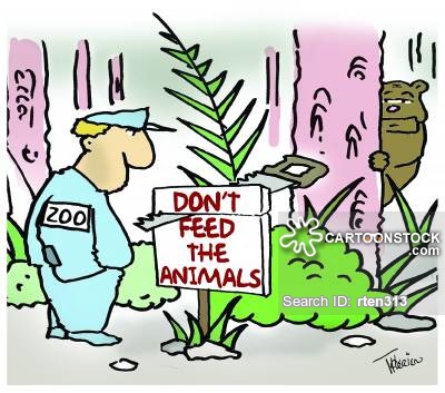 400x353 Zoo Creature Cartoons And Comics