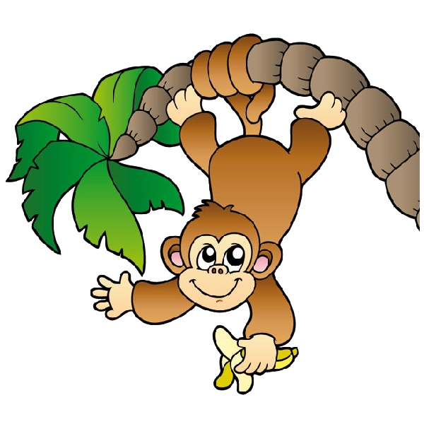 600x600 Zoo Clipart Jungle Monkey