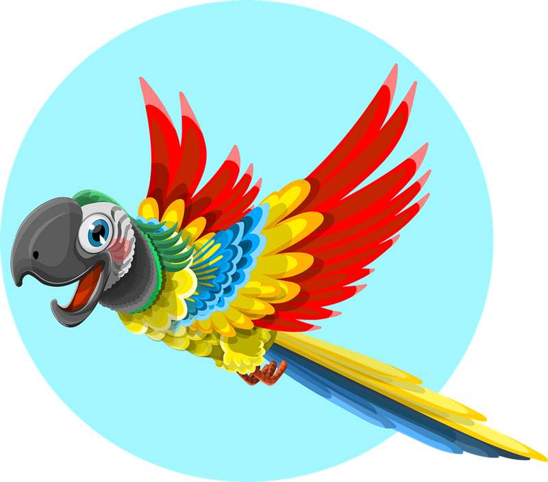 800x704 Free To Use Amp Public Domain Parrot Clip Art