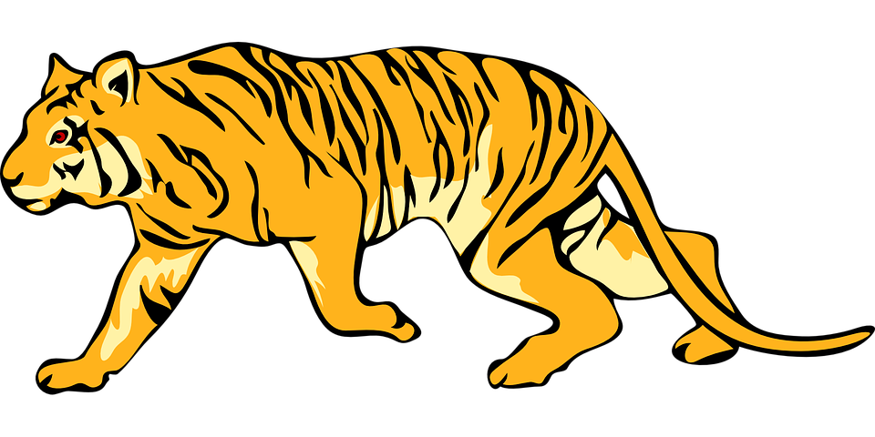 960x480 Tiger Clipart Zoo Animal