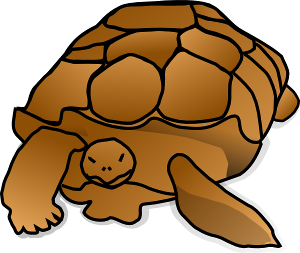 600x506 Zoo Sea Turtle Clipart, Explore Pictures