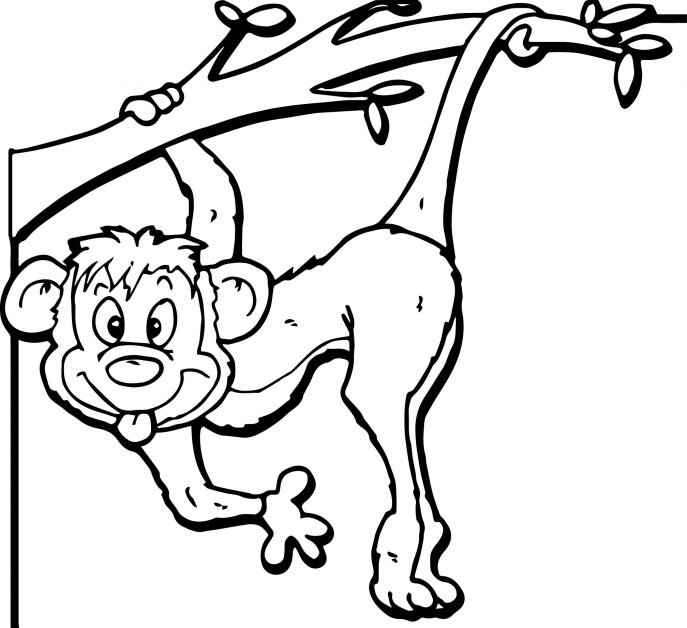 687x628 Coloring Zoo Coloring Pages Safari Page Preschool Submited