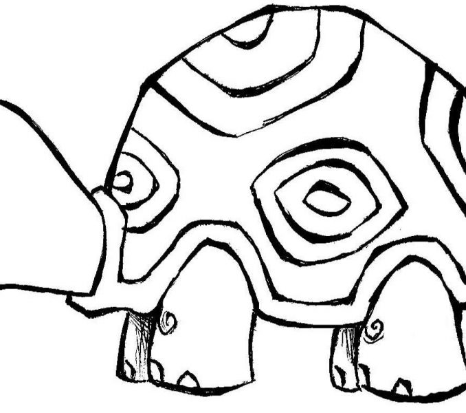 678x600 Coloring Pictures Of Zoo Animals Kids Coloring