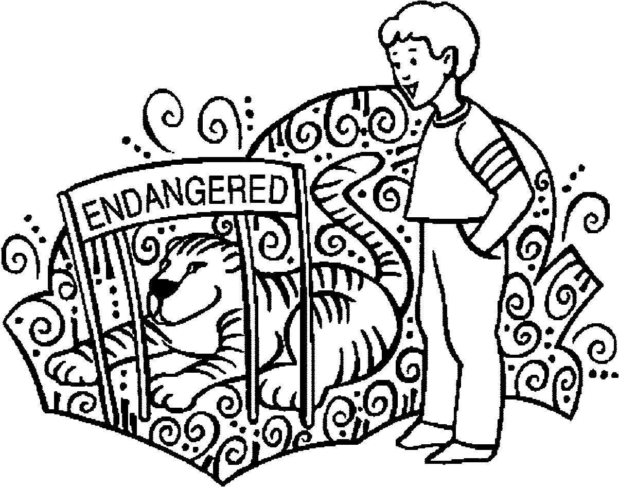 1203x946 Zoo Boy And Lion Endangered Coloring Page Wecoloringpage