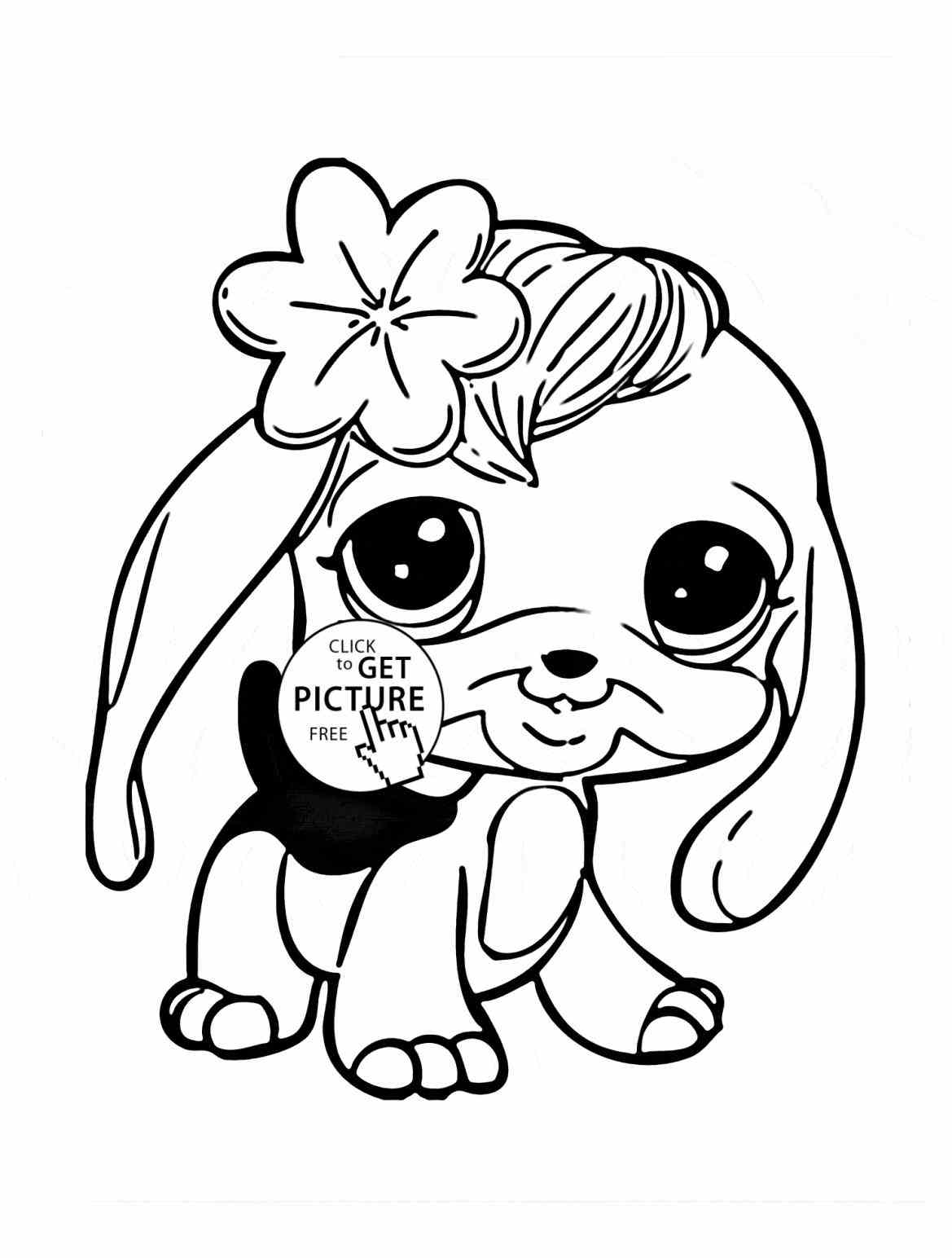 1169x1544 Zoo Coloring Pages For Preschoolers Page Image Clipart Images