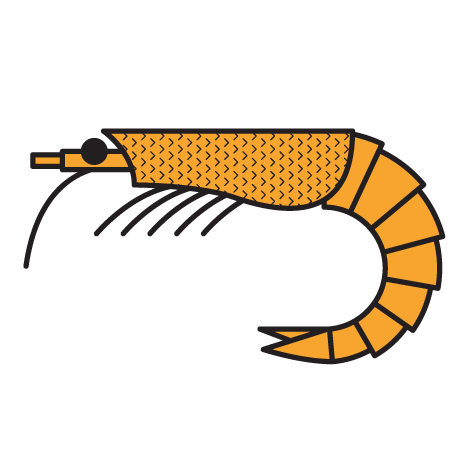 469x469 Planktomania Discover Plankton In 3d