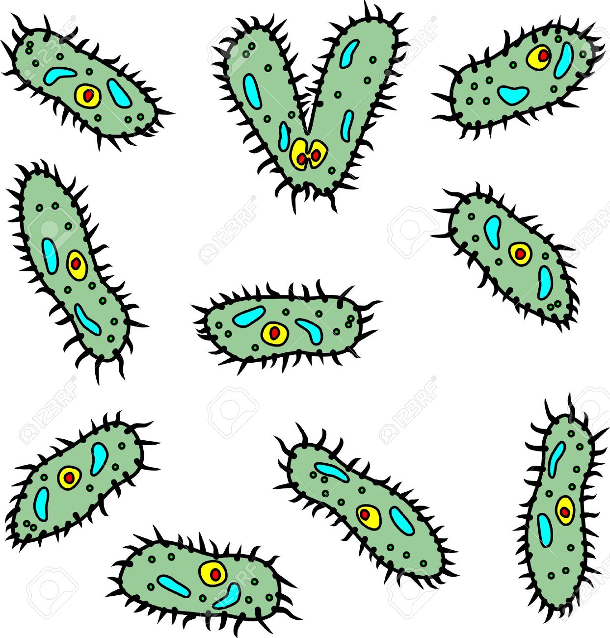 1243x1300 Plankton Clipart