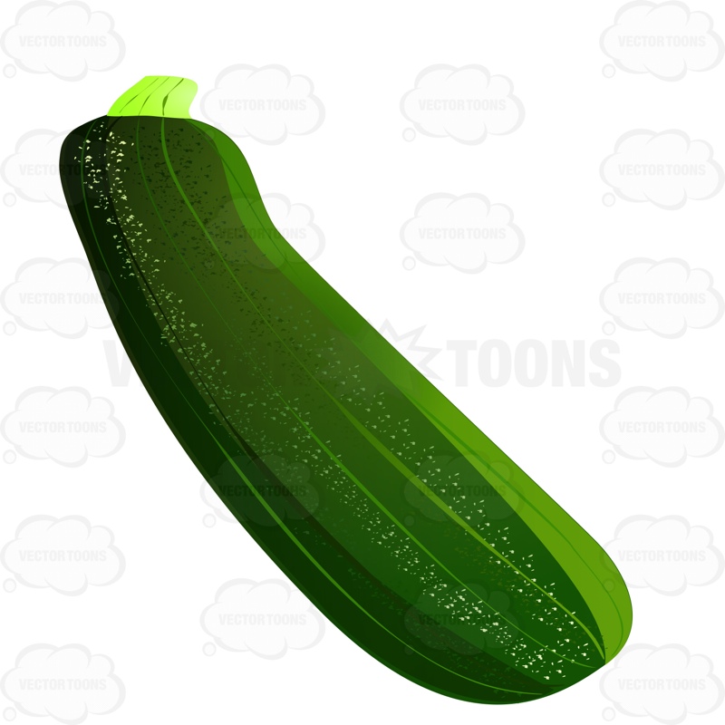 800x800 Zucchini Clipart Cartoon