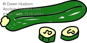 300x149 Zucchini Clipart Amp Stock Photography Acclaim Images