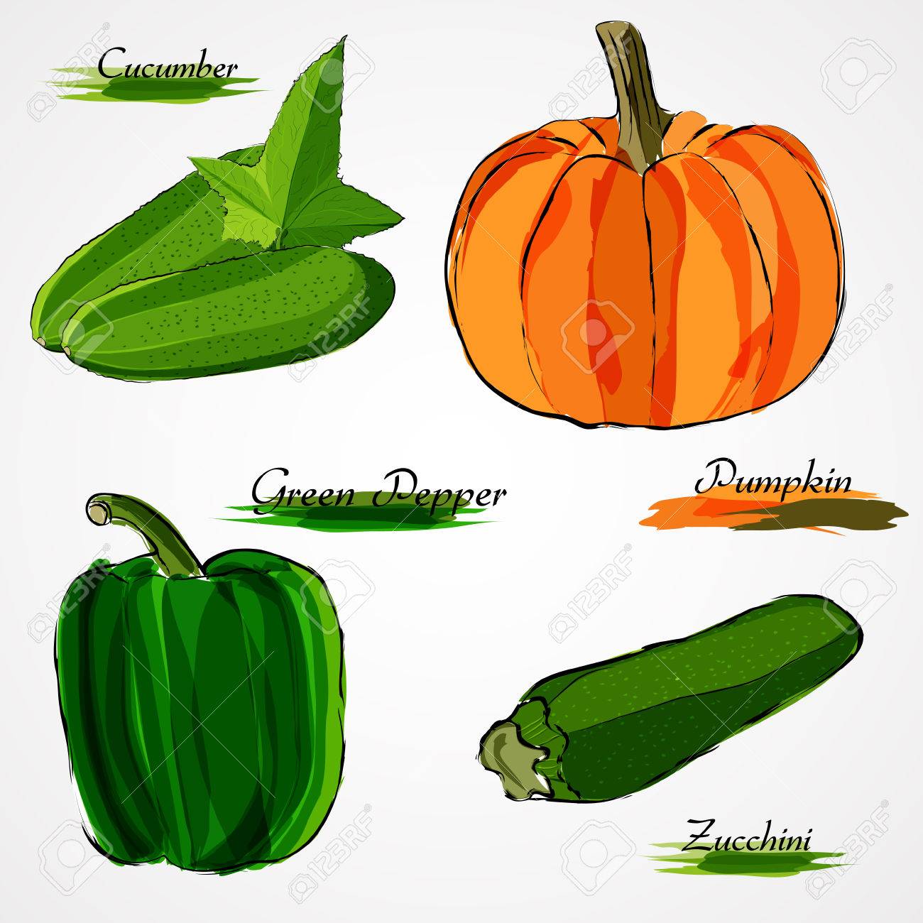 1300x1300 Set Of Ripe Whole Vegetables Cucumber, Pumpkin, Green Pepper