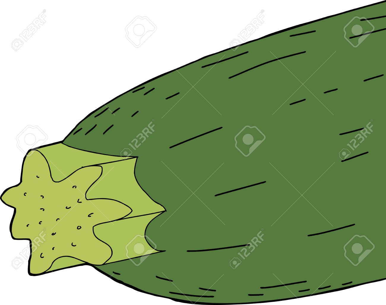 1300x1025 Close Up Of Hand Drawn Cartoon Zucchini Over White Royalty Free