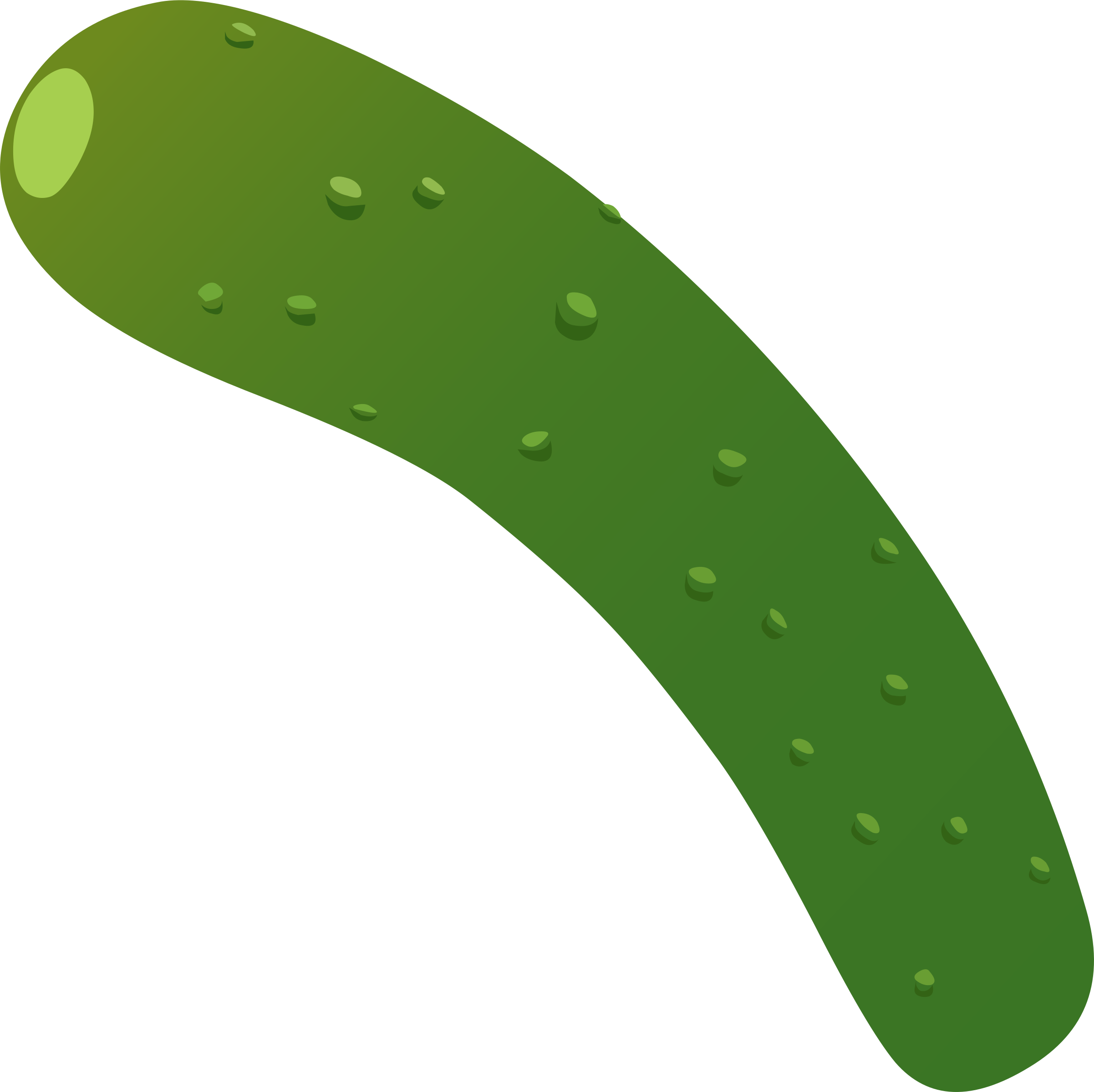 2403x2400 Zucchini Clipart Small