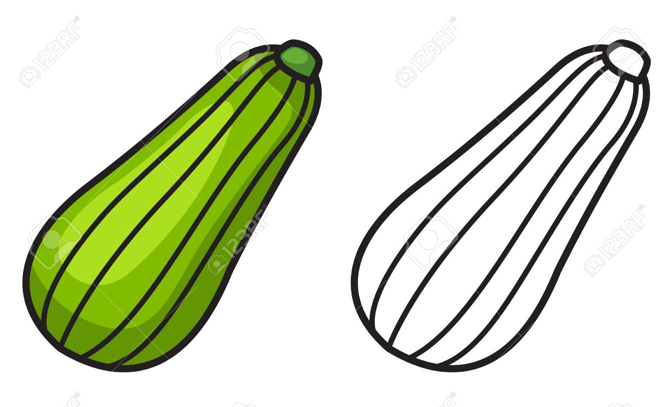 1300x795 Illustration Of Isolated Colorful And Black And White Zucchini